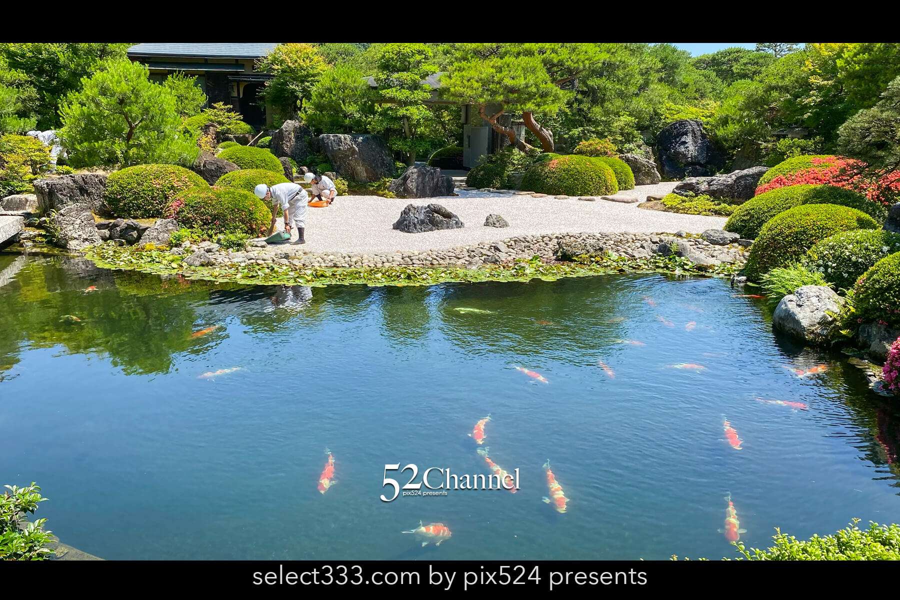 足立美術館：日本一の庭園美の見どころと観光・観覧・撮影ポイント！撮影攻略と混雑状況