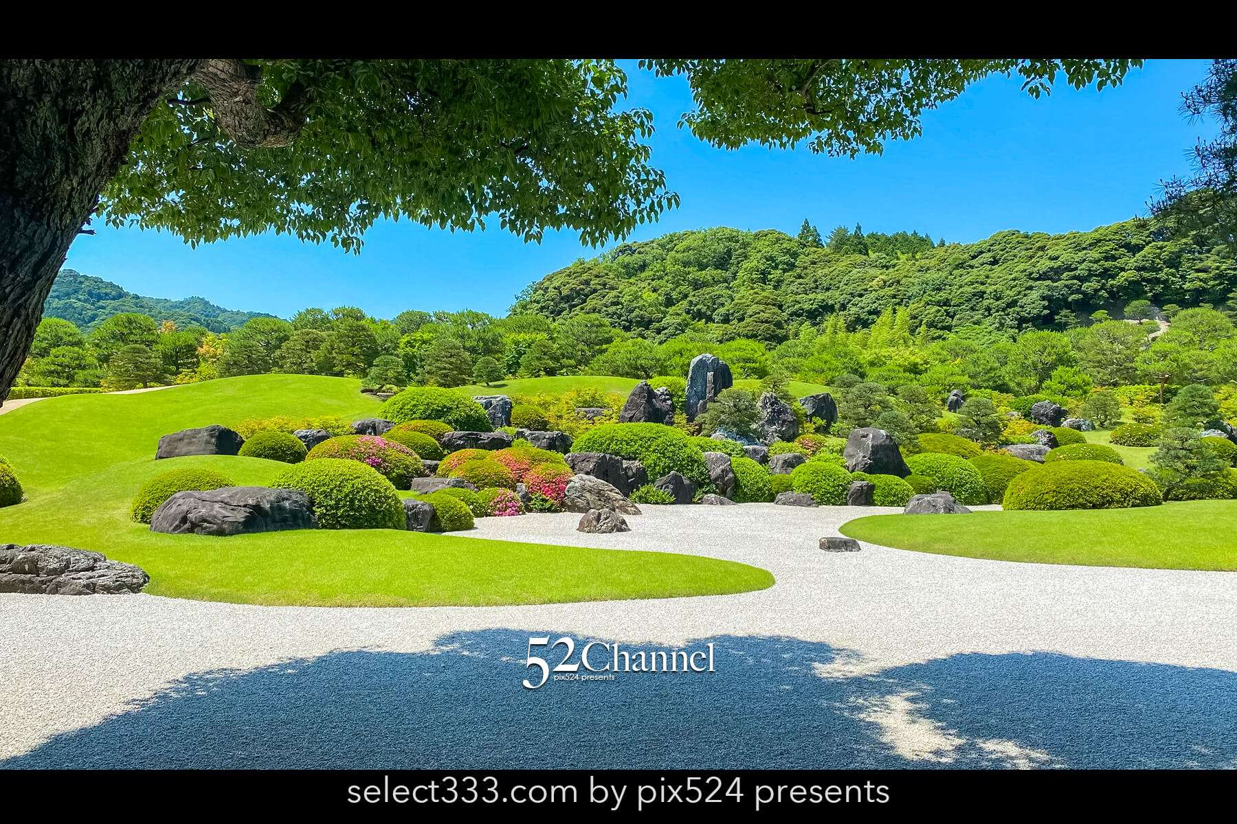 足立美術館：日本一の庭園美の見どころと観光・観覧・撮影ポイント！撮影攻略と混雑状況