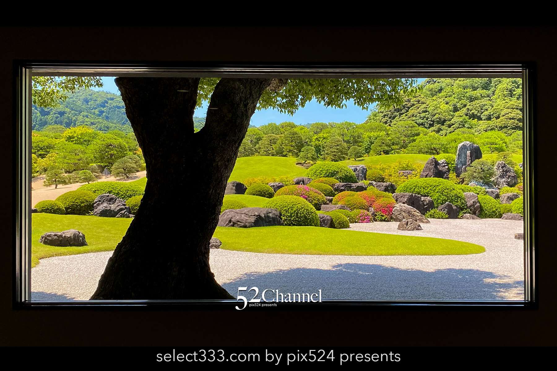 足立美術館：日本一の庭園美の見どころと観光・観覧・撮影ポイント！撮影攻略と混雑状況