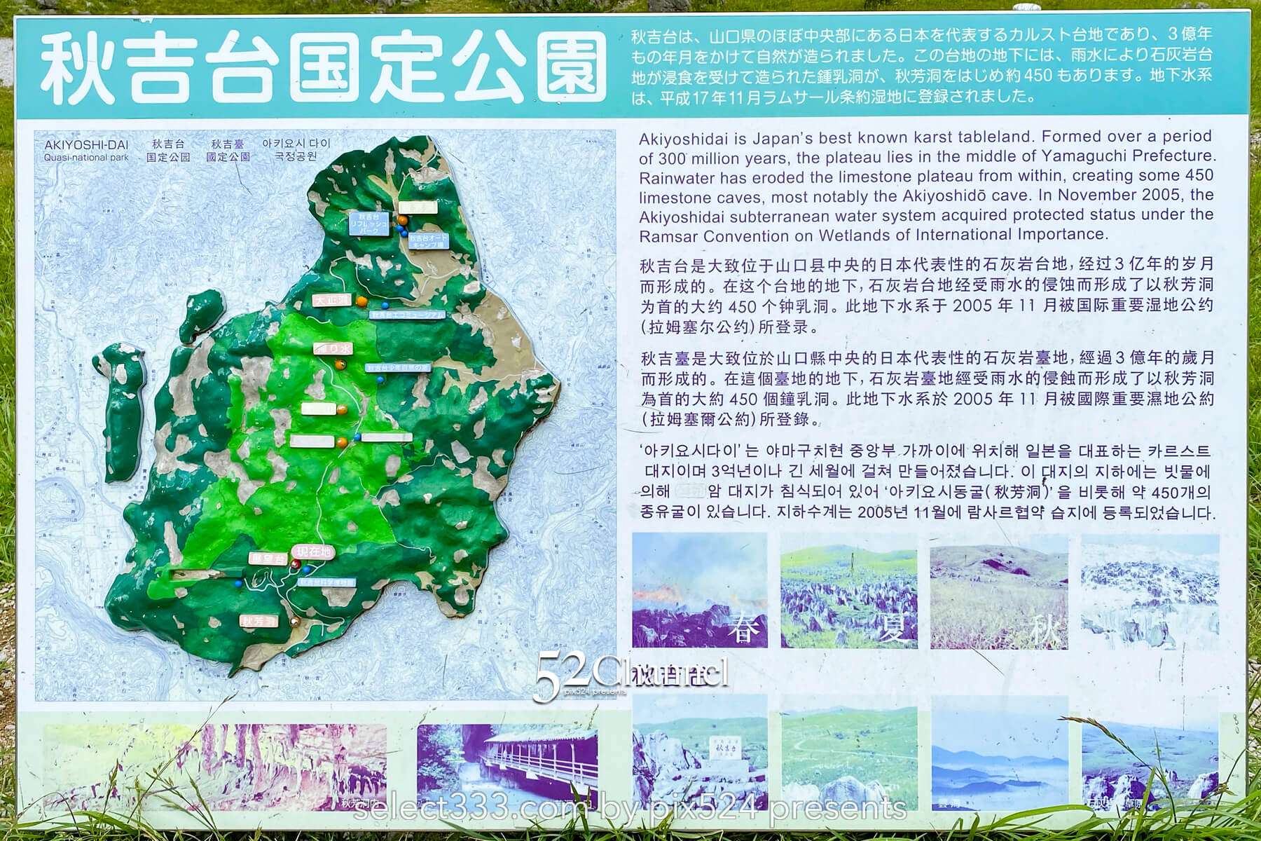 秋吉台:日本最大級カルスト台地の絶景見どころと撮影ポイント!観光・混雑回避徹底ガイド