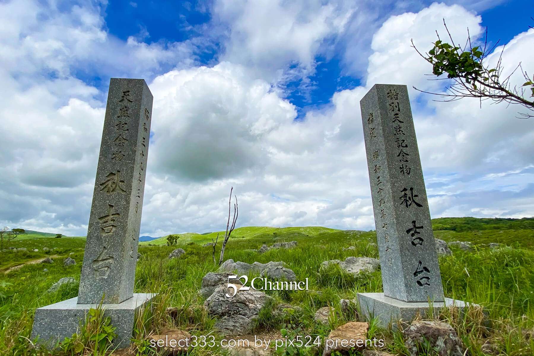 秋吉台:日本最大級カルスト台地の絶景見どころと撮影ポイント!観光・混雑回避徹底ガイド