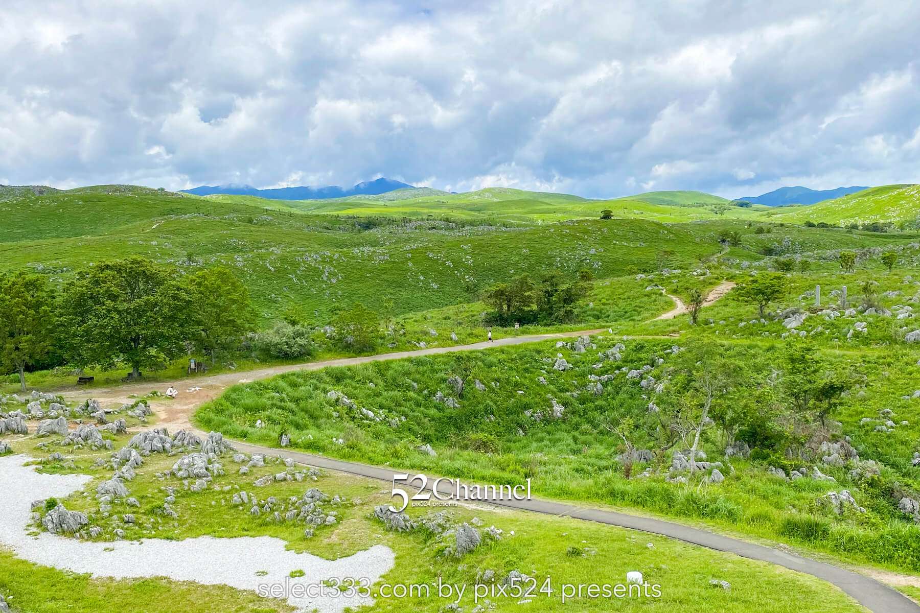 秋吉台:日本最大級カルスト台地の絶景見どころと撮影ポイント!観光・混雑回避徹底ガイド