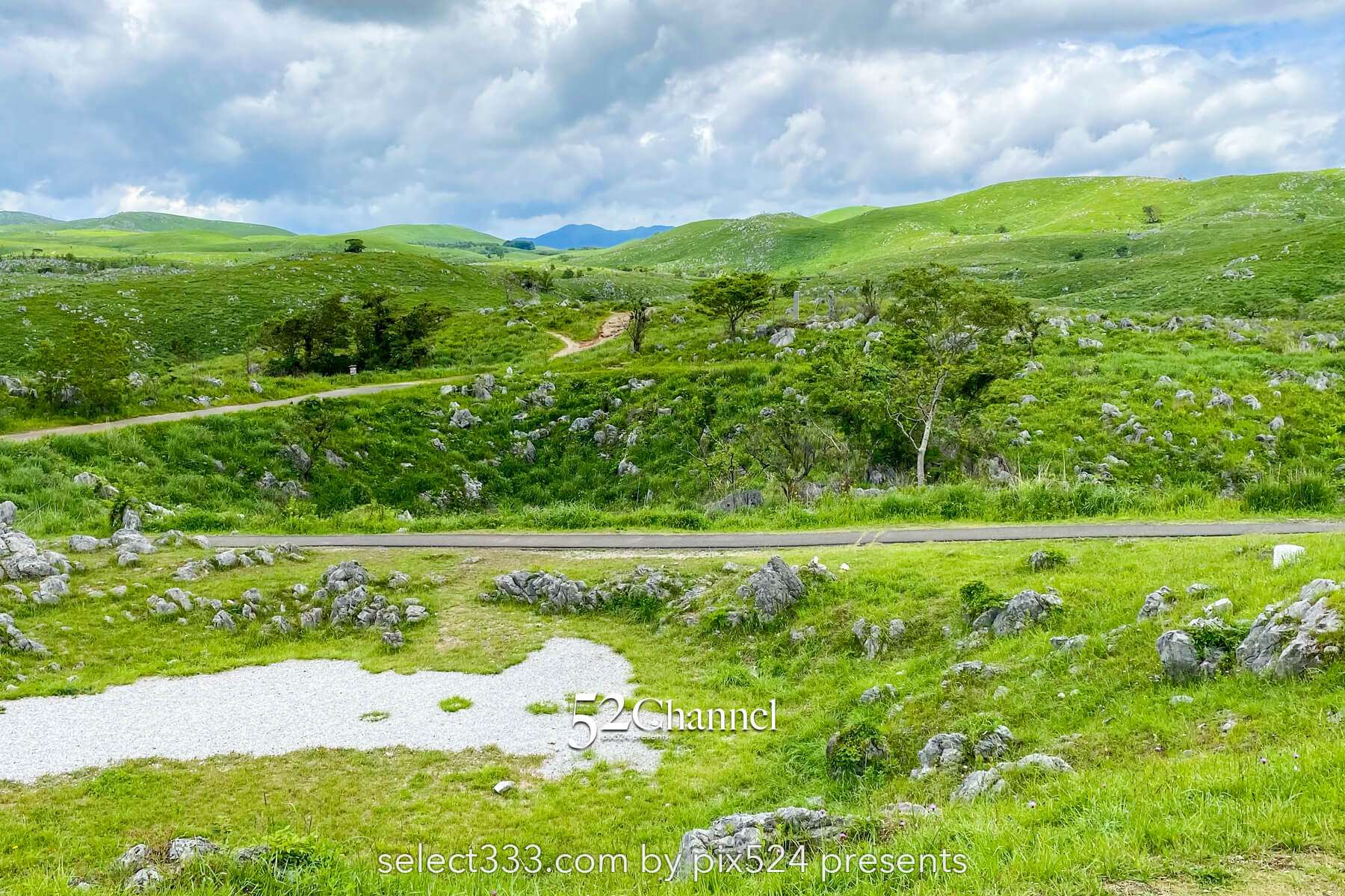 秋吉台:日本最大級カルスト台地の絶景見どころと撮影ポイント!観光・混雑回避徹底ガイド