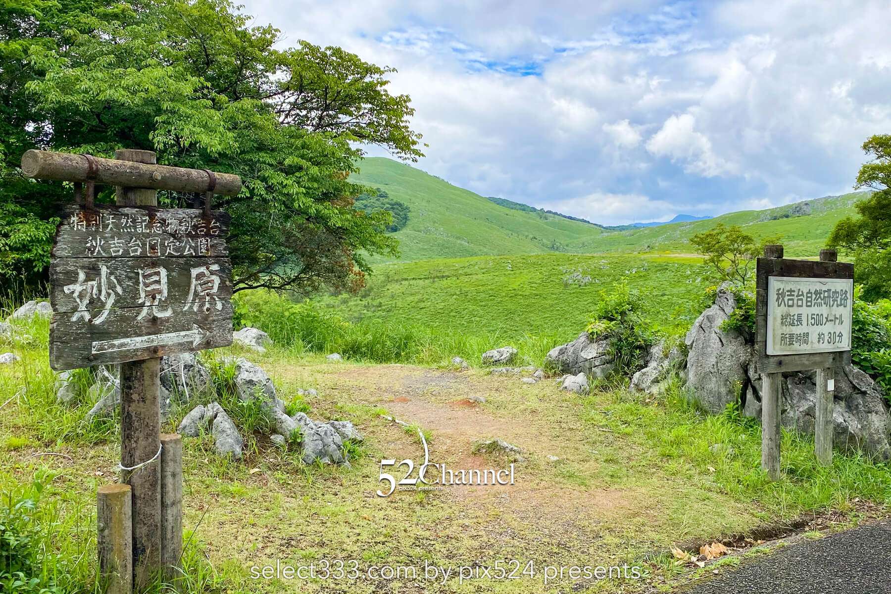 秋吉台:日本最大級カルスト台地の絶景見どころと撮影ポイント!観光・混雑回避徹底ガイド