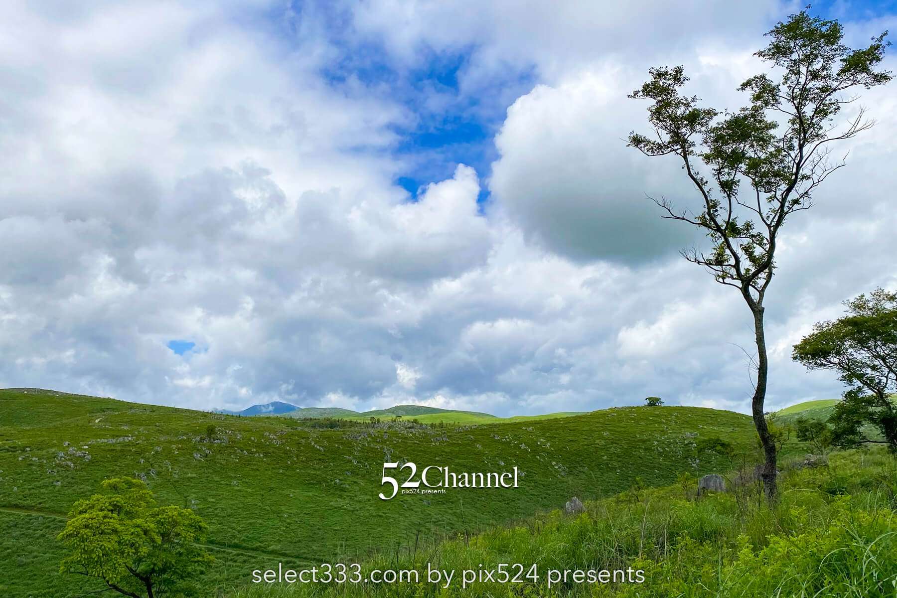 秋吉台:日本最大級カルスト台地の絶景見どころと撮影ポイント!観光・混雑回避徹底ガイド