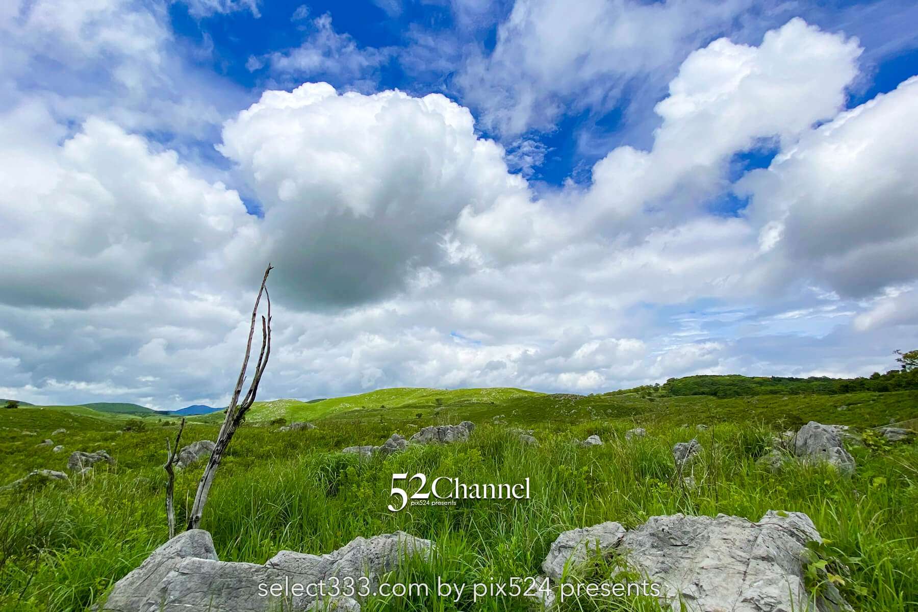 秋吉台:日本最大級カルスト台地の絶景見どころと撮影ポイント!観光・混雑回避徹底ガイド