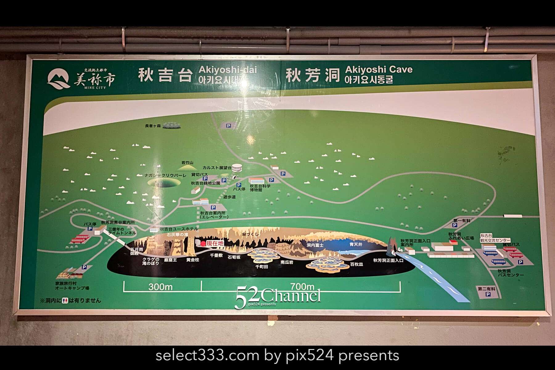 秋芳洞:日本最大級の鍾乳洞の見どころ観光・撮影ポイント!混雑・アクセス・周辺観光情報