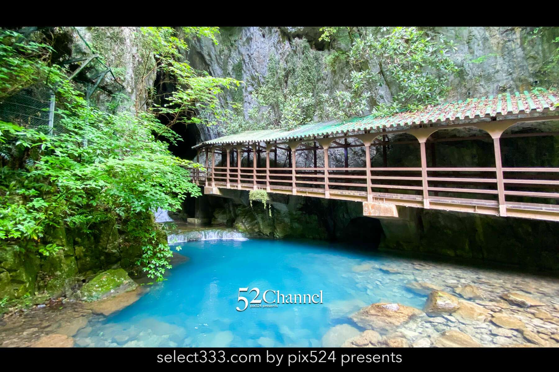 秋芳洞:日本最大級の鍾乳洞の見どころ観光・撮影ポイント!混雑・アクセス・周辺観光情報