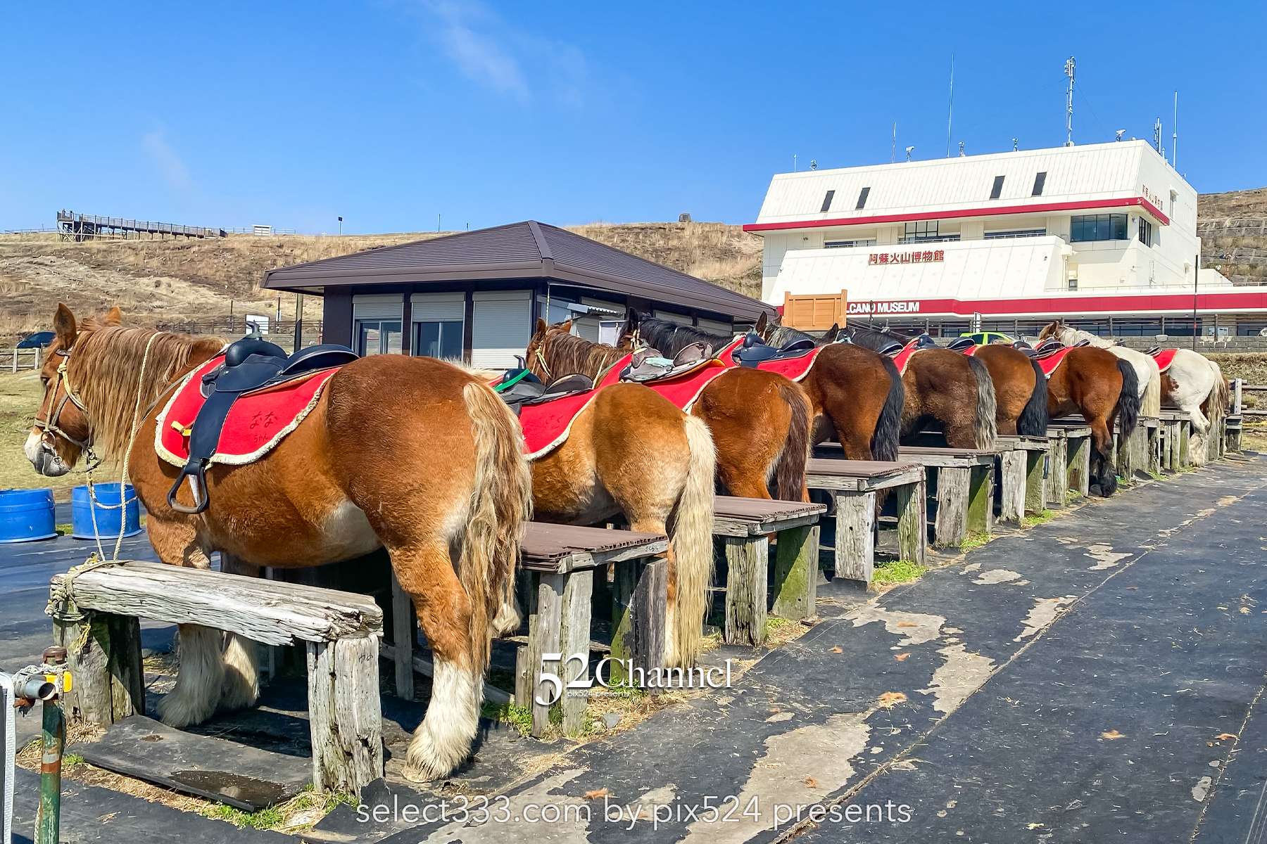 阿蘇山火口を巡る旅：見どころ満載の周辺観光と絶景撮影！阿蘇山近辺立ち寄りスポット
