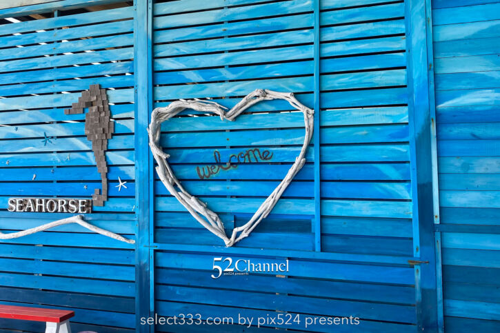 番所鼻自然公園:開聞岳の絶景ビューと長閑な海岸でタツノオトシゴを観察!