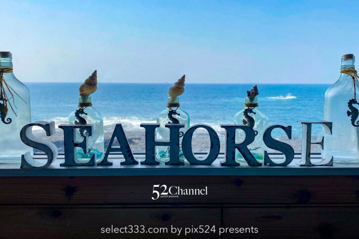 番所鼻自然公園:開聞岳の絶景ビューと長閑な海岸でタツノオトシゴを観察!