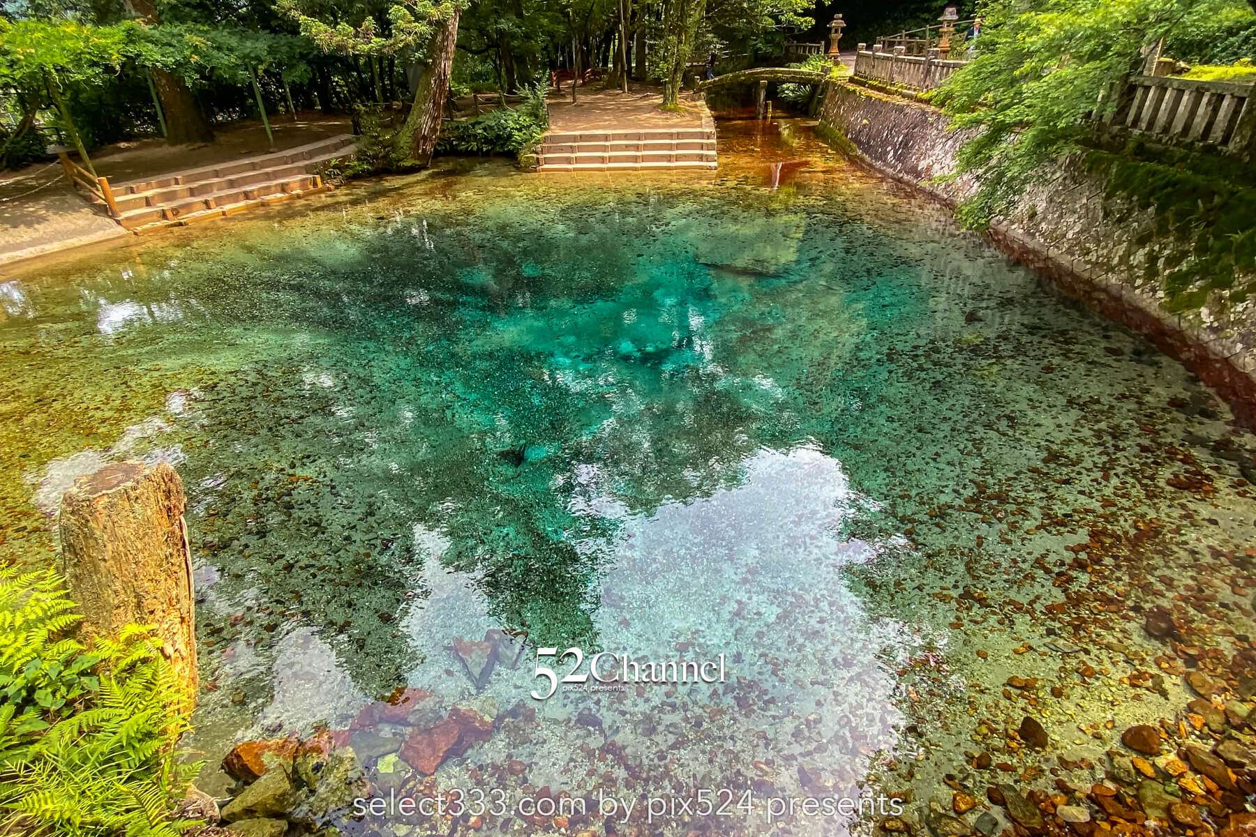 別府弁天池：神秘の湧水ブルーの撮影と山口県萩市観光情報！見どころとアクセス完全版