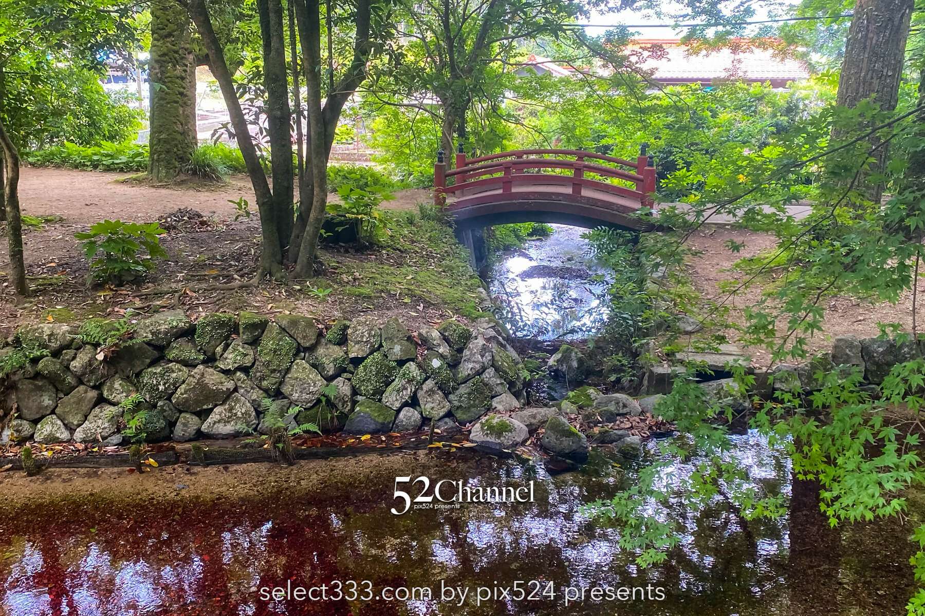 別府弁天池：神秘の湧水ブルーの撮影と山口県萩市観光情報！見どころとアクセス完全版