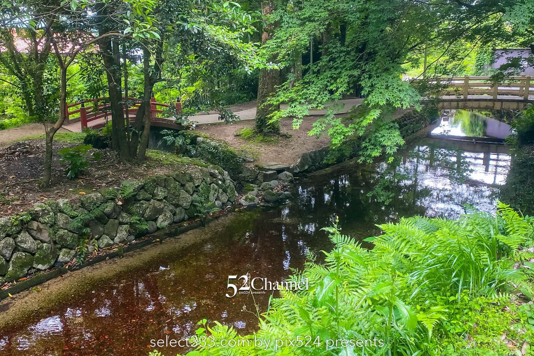 別府弁天池：神秘の湧水ブルーの撮影と山口県萩市観光情報！見どころとアクセス完全版