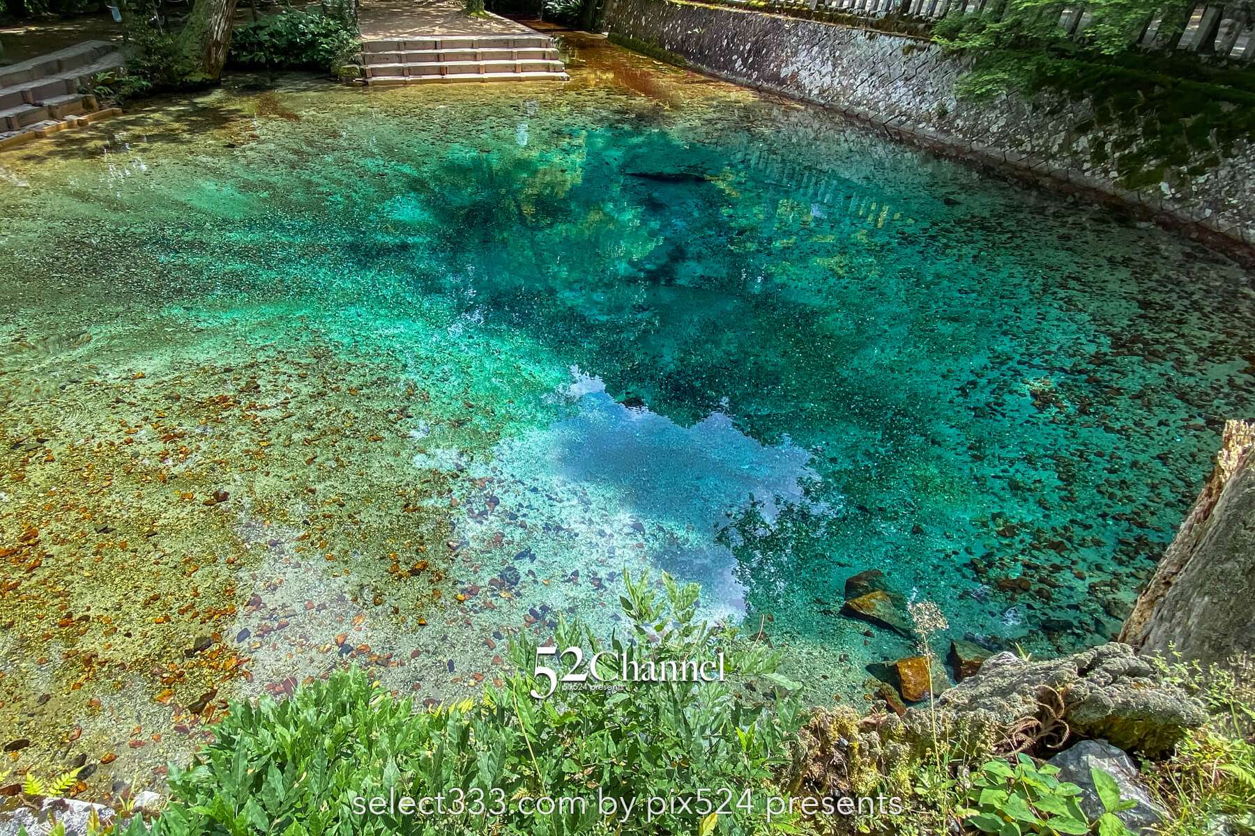 別府弁天池：神秘の湧水ブルーの撮影と山口県萩市観光情報！見どころとアクセス完全版