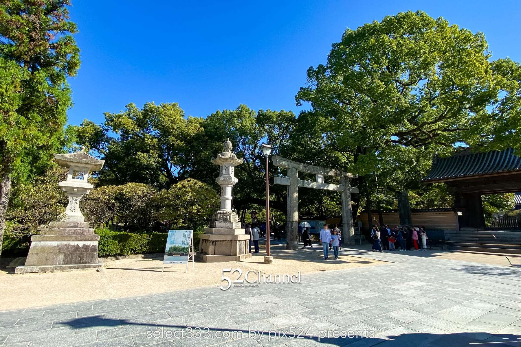 太宰府天満宮:歴史と季節の絶景見どころ・観光・撮影ポイント!混雑状況と撮影情報