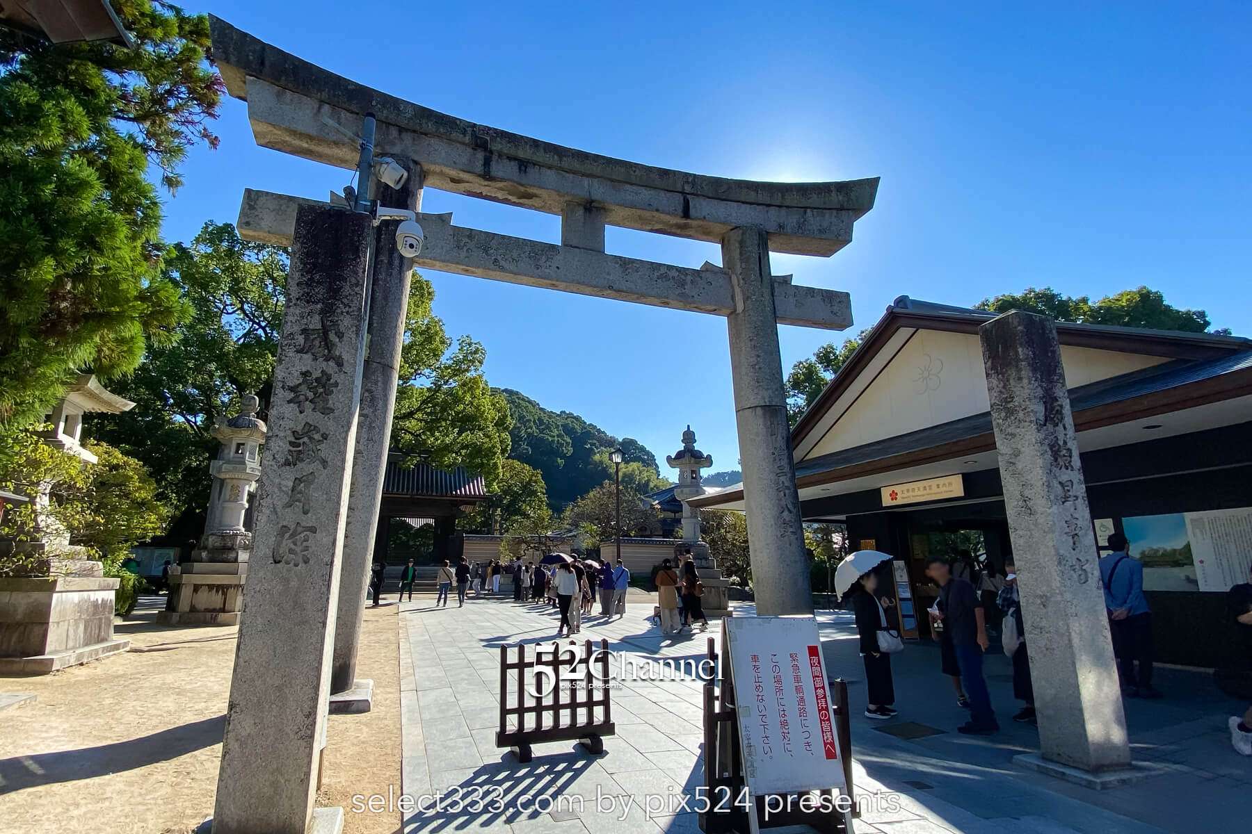 太宰府天満宮:歴史と季節の絶景見どころ・観光・撮影ポイント!混雑状況と撮影情報