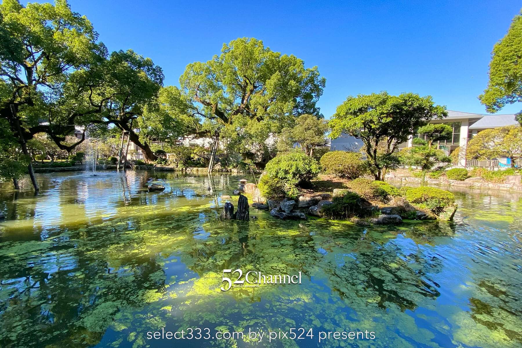 太宰府天満宮:歴史と季節の絶景見どころ・観光・撮影ポイント!混雑状況と撮影情報