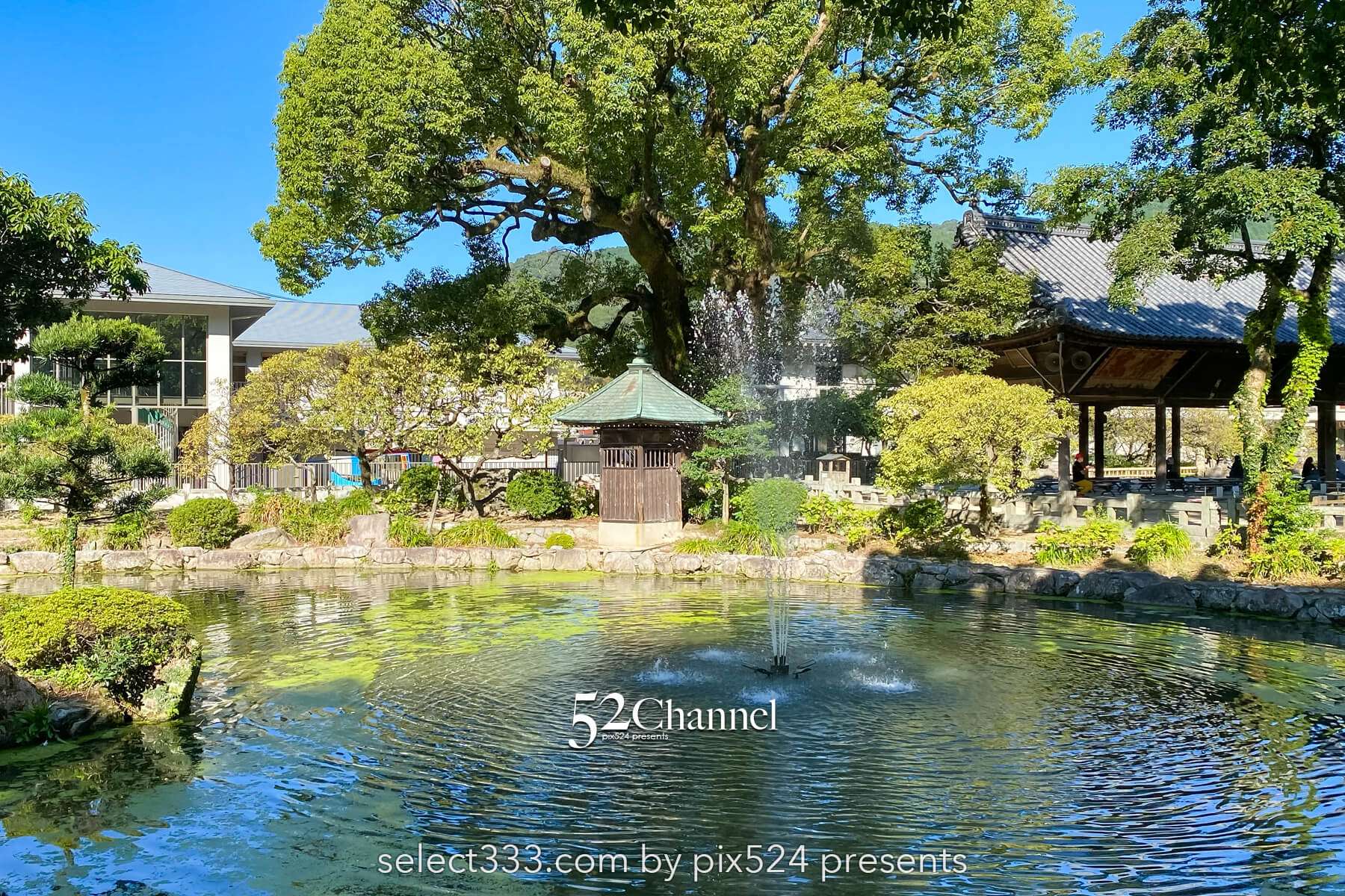 太宰府天満宮:歴史と季節の絶景見どころ・観光・撮影ポイント!混雑状況と撮影情報