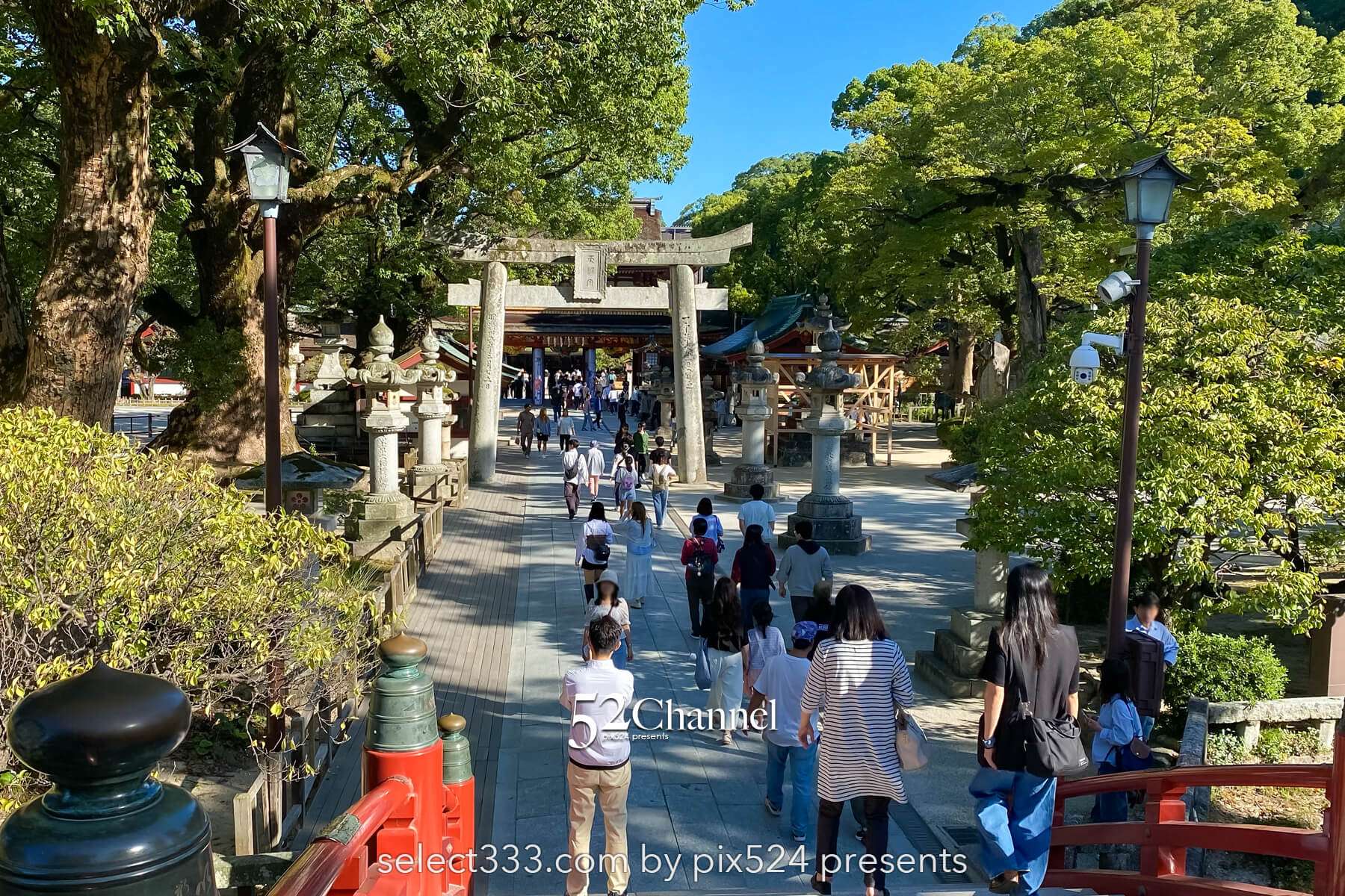 太宰府天満宮:歴史と季節の絶景見どころ・観光・撮影ポイント!混雑状況と撮影情報