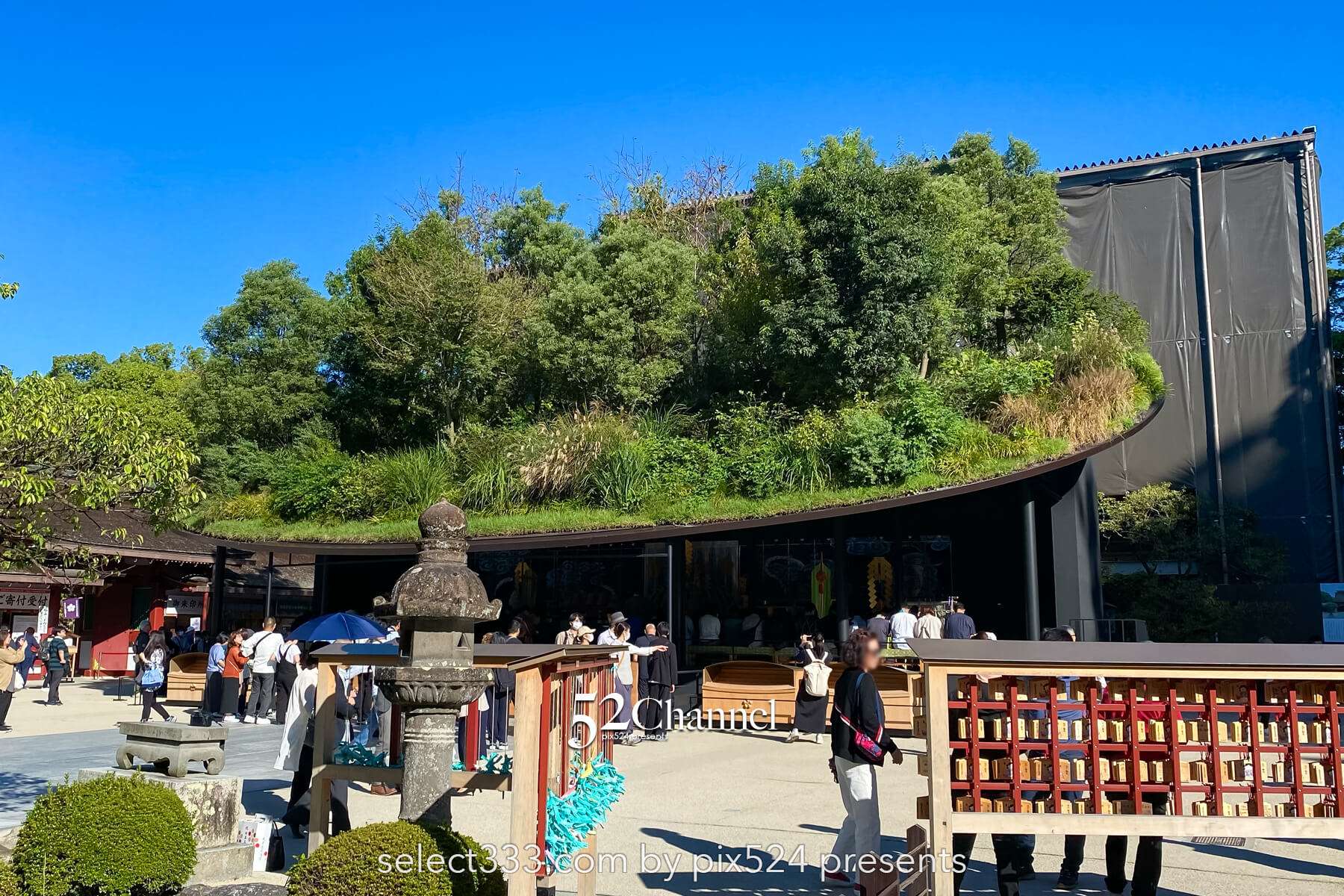 太宰府天満宮:歴史と季節の絶景見どころ・観光・撮影ポイント!混雑状況と撮影情報