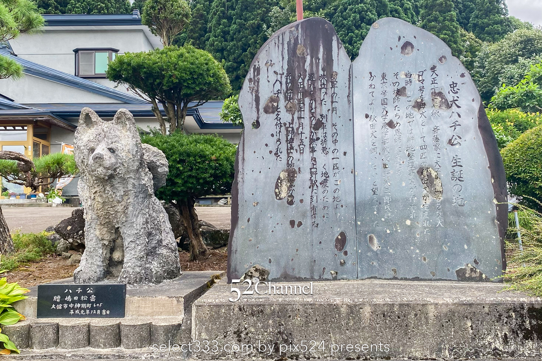 忠犬ハチ公の生家を訪ねる：秋田県大館市県道沿いにある忠犬ハチ公の生誕地