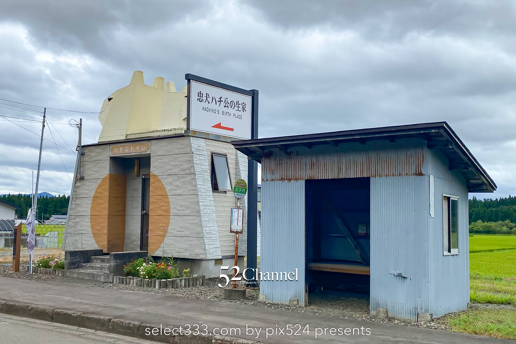 忠犬ハチ公の生家を訪ねる：秋田県大館市県道沿いにある忠犬ハチ公の生誕地