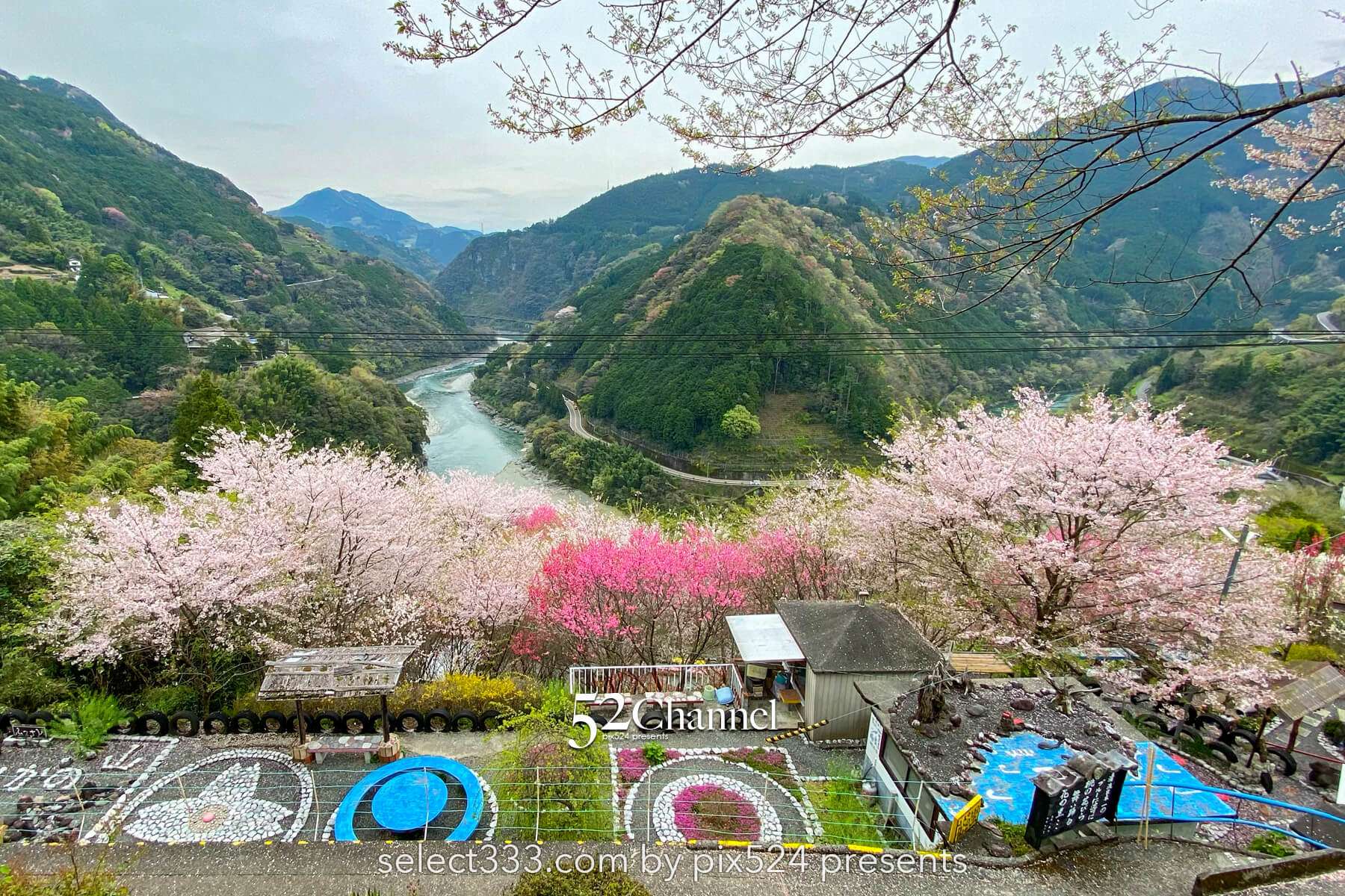 花の里公園（越知町）：芝桜とハナモモの絶景観光・撮影ポイント！手作りの桃源郷ガイド