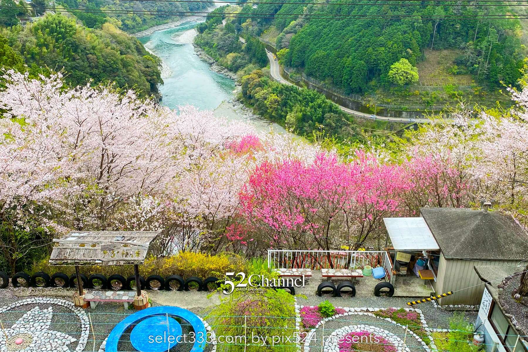 花の里公園（越知町）：芝桜とハナモモの絶景観光・撮影ポイント！手作りの桃源郷ガイド