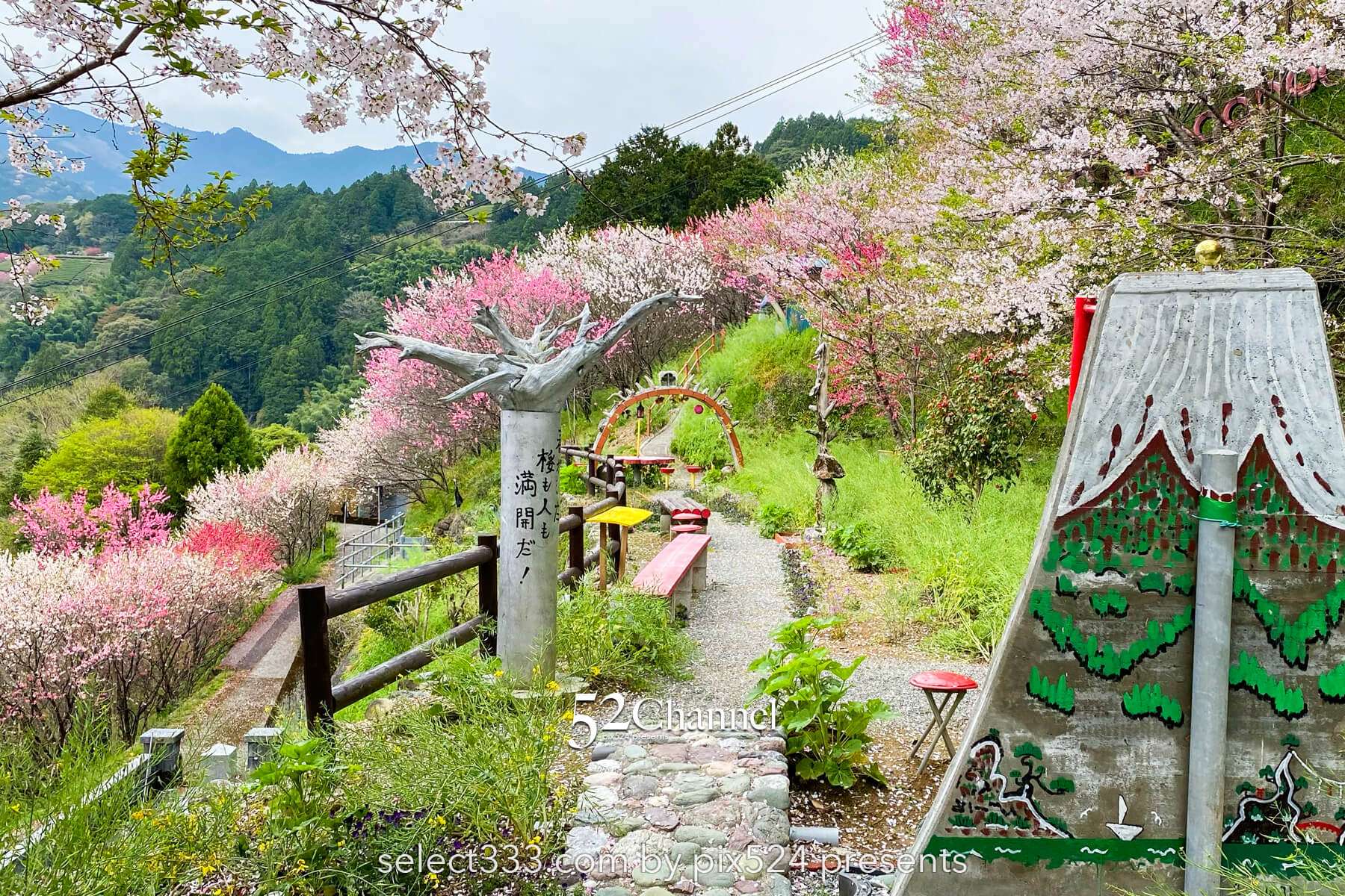 花の里公園（越知町）：芝桜とハナモモの絶景観光・撮影ポイント！手作りの桃源郷ガイド