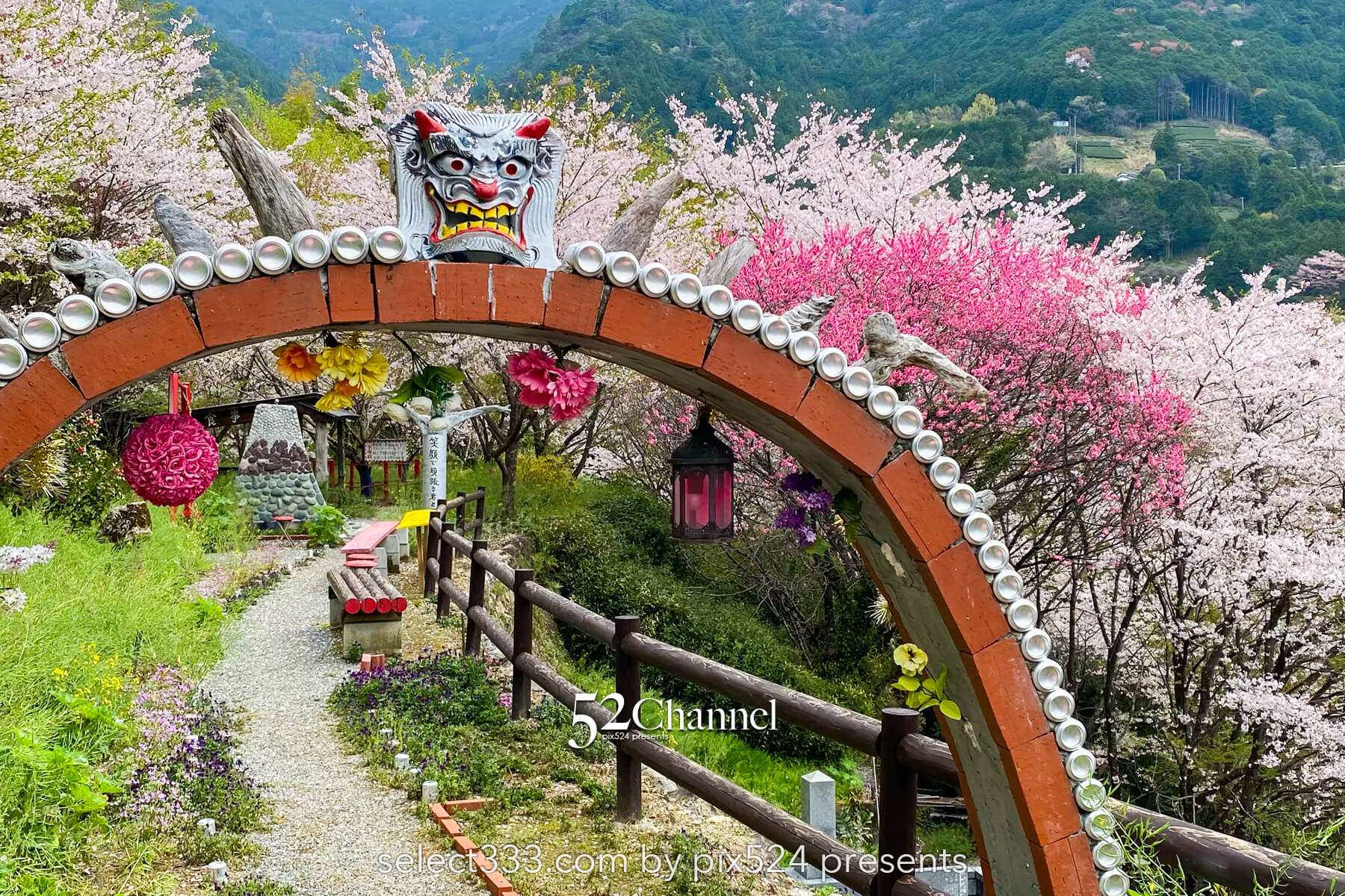 花の里公園（越知町）：芝桜とハナモモの絶景観光・撮影ポイント！手作りの桃源郷ガイド