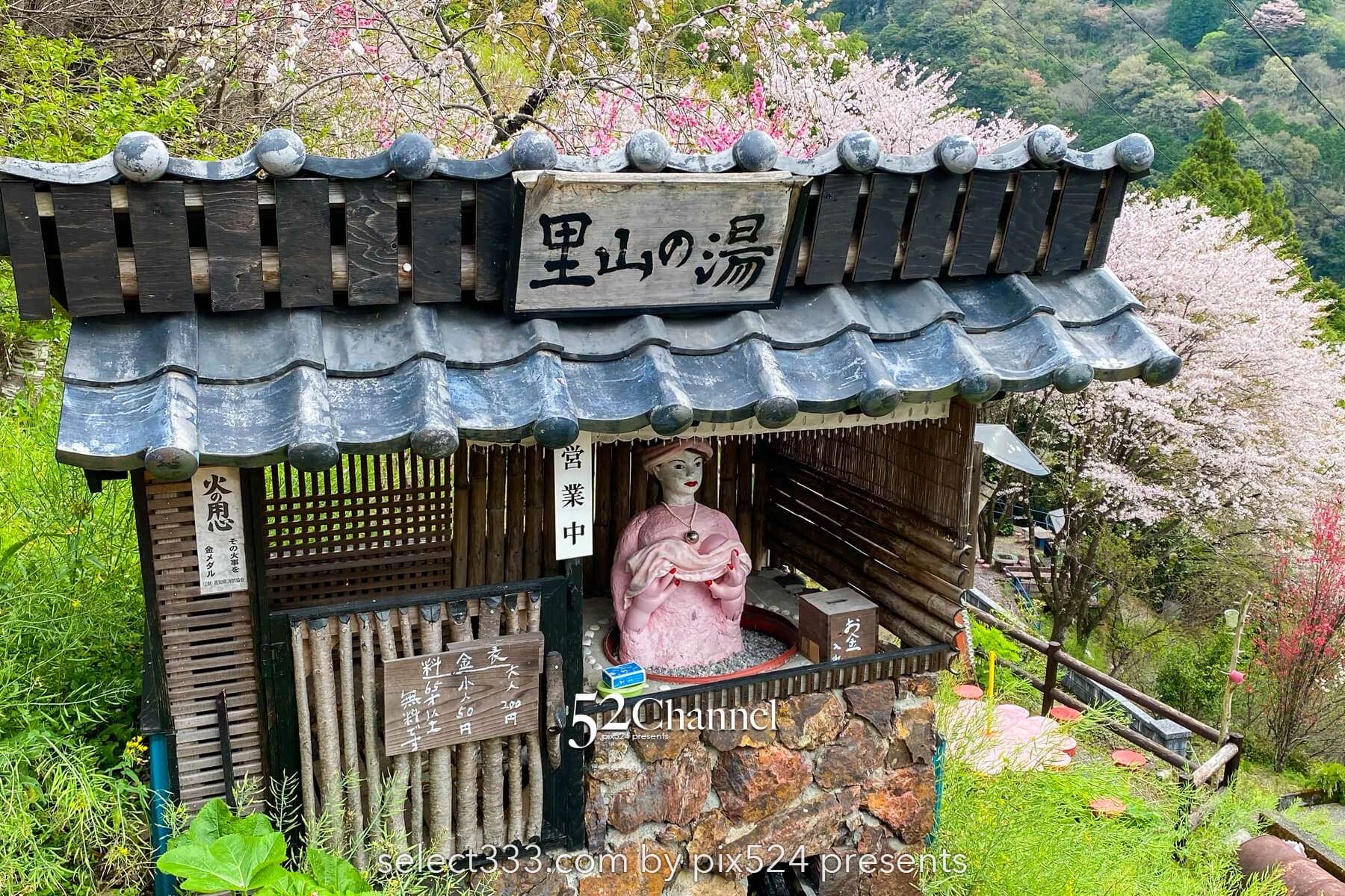 花の里公園（越知町）：芝桜とハナモモの絶景観光・撮影ポイント！手作りの桃源郷ガイド