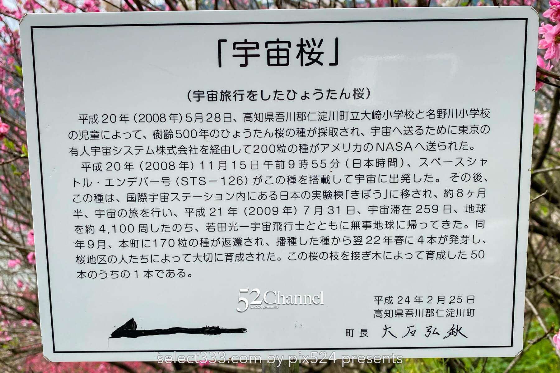 花の里公園（越知町）：芝桜とハナモモの絶景観光・撮影ポイント！手作りの桃源郷ガイド