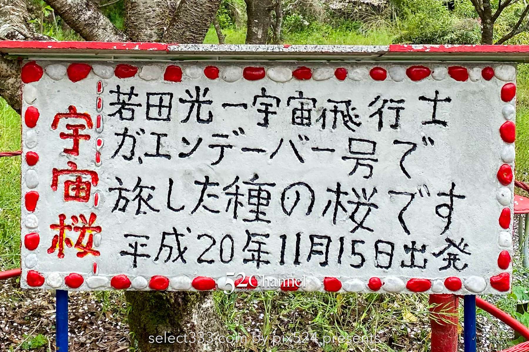 花の里公園（越知町）：芝桜とハナモモの絶景観光・撮影ポイント！手作りの桃源郷ガイド
