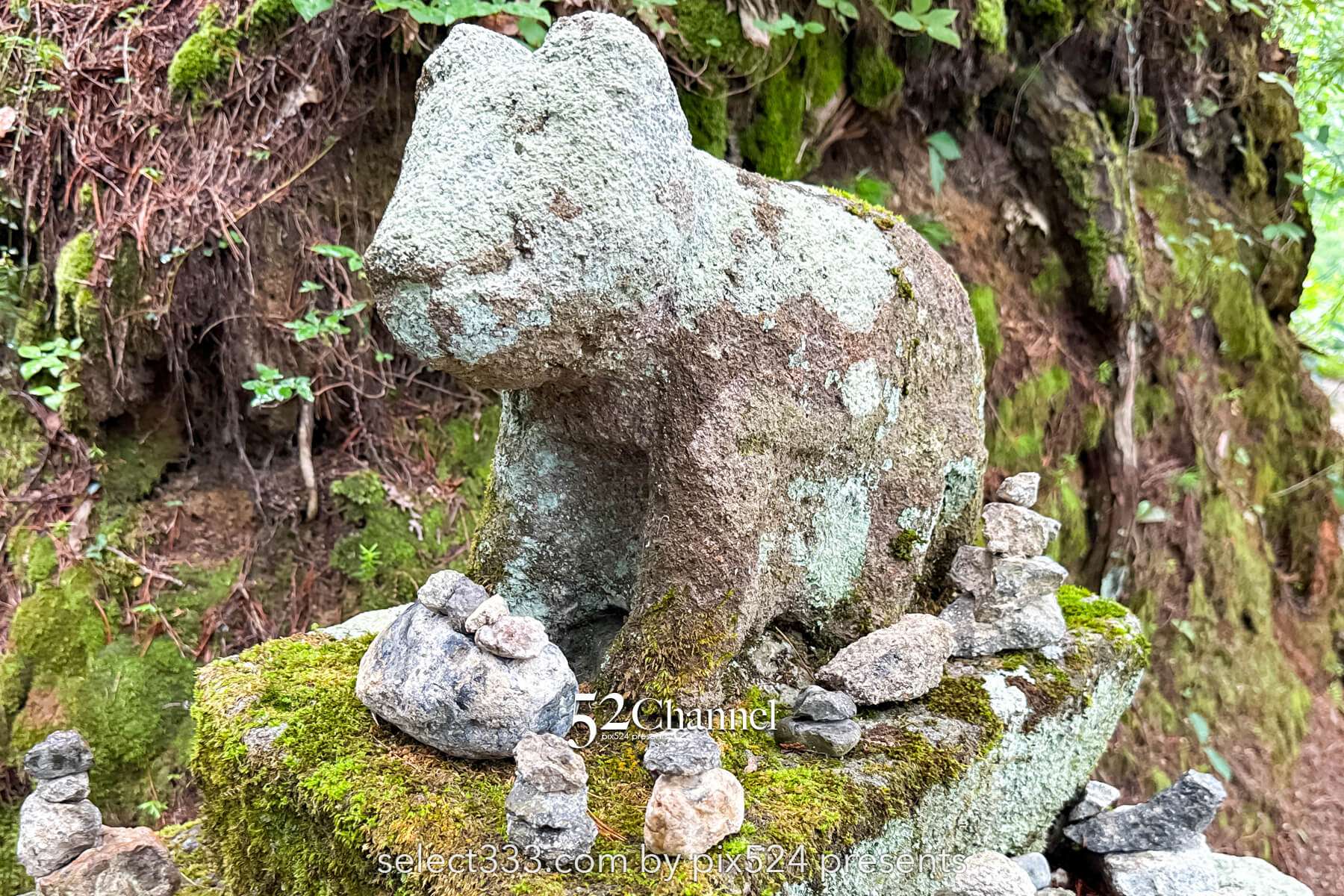 高山・飛騨の里の魅力とは？合掌造りと四季の撮影スポット！120％楽しむ観光と撮影