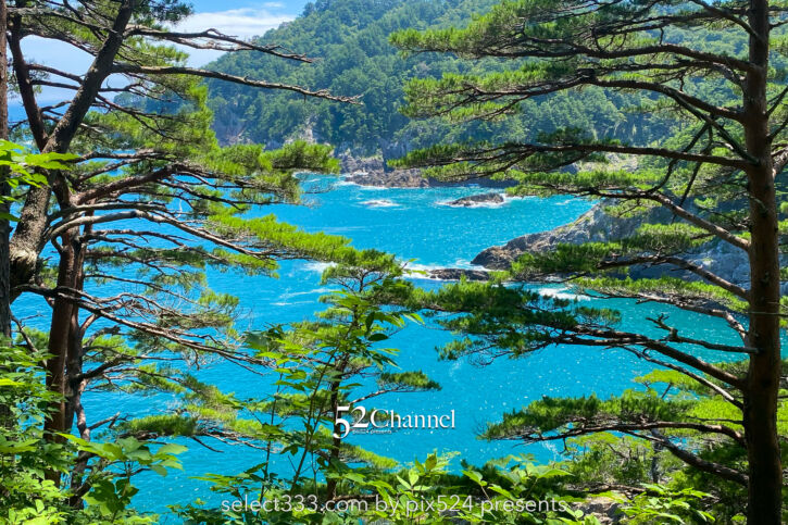 本州最東端魹ヶ崎：山越えで到達する本州の東の突端！岩手県宮古市の最先端で眺める太平洋の海