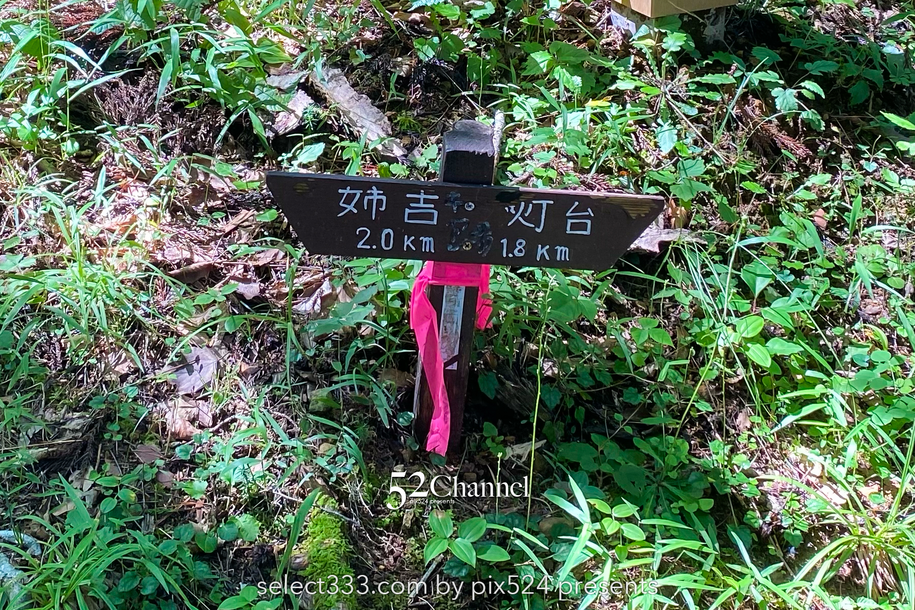 本州最東端魹ヶ崎:山越えで到達する本州の東の突端!岩手県宮古市の最先端で眺める太平洋の海