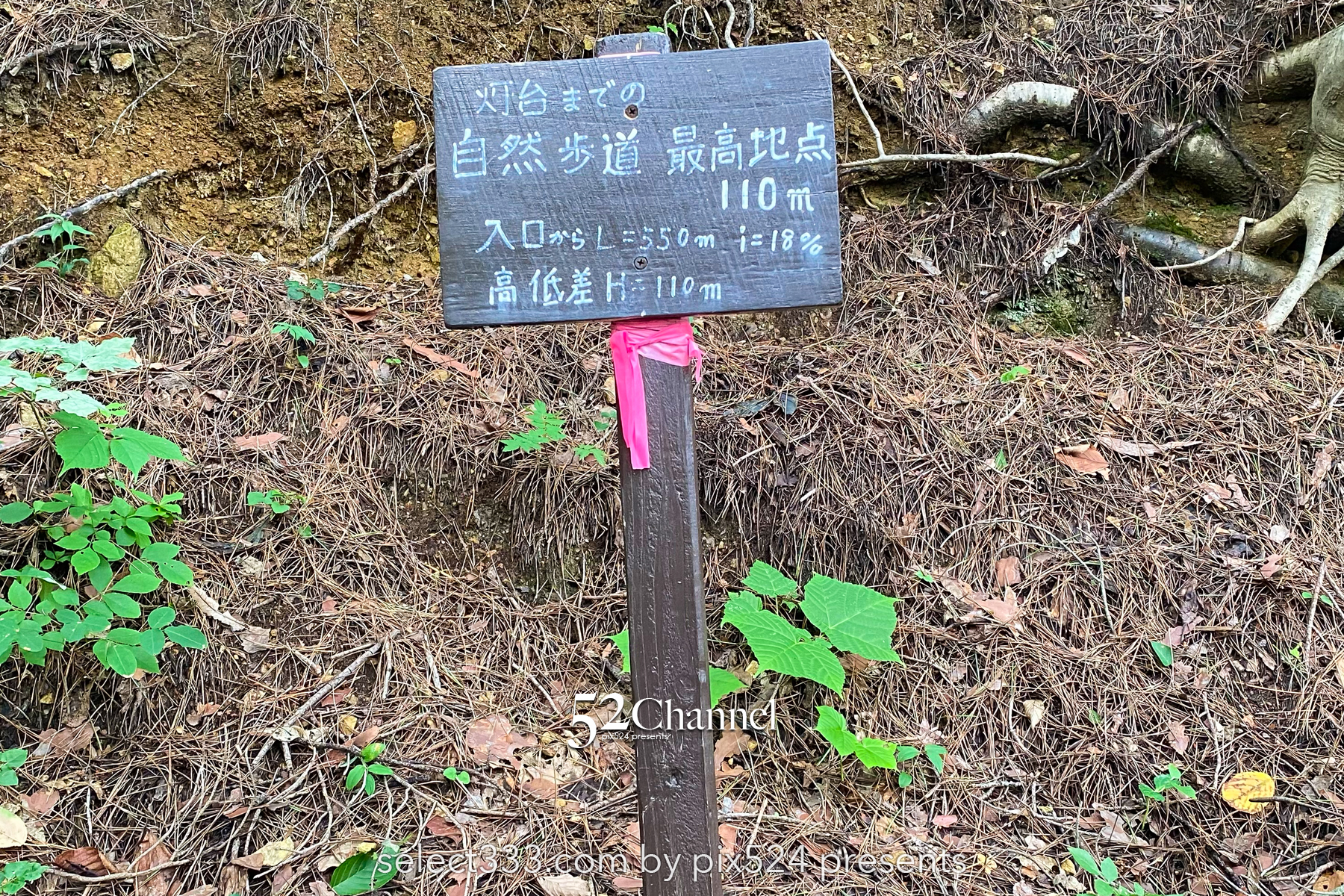 本州最東端魹ヶ崎:山越えで到達する本州の東の突端!岩手県宮古市の最先端で眺める太平洋の海
