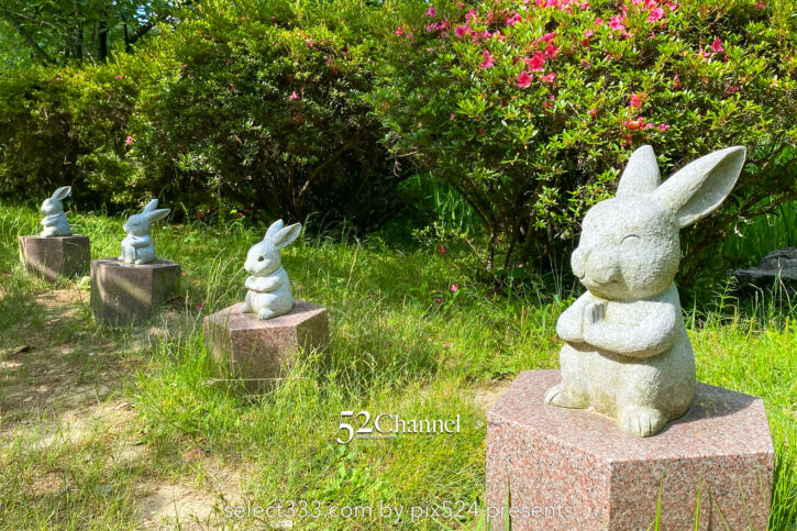 出雲大社(いずもおおやしろ):神々が集う縁結びのパワースポット!一度はお参りしたい福の神