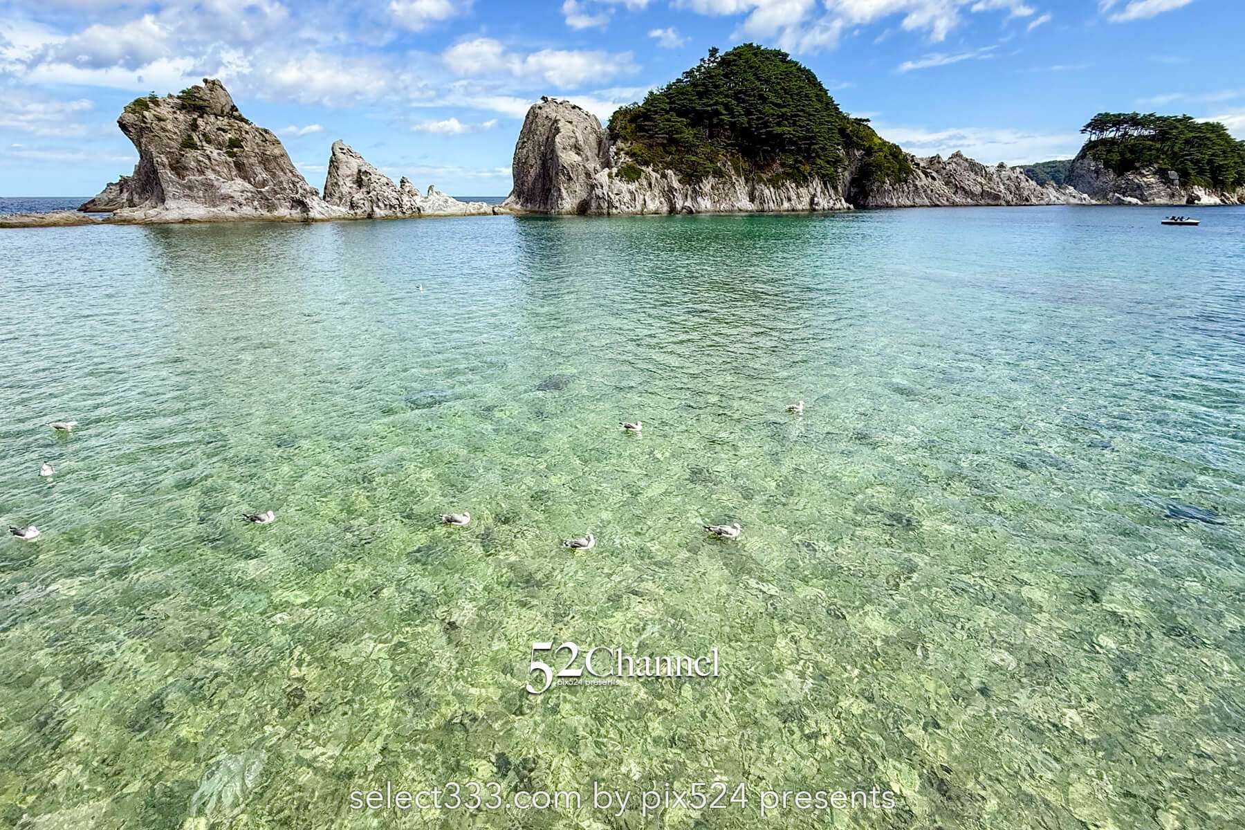 浄土ヶ浜：日本屈指の海岸美！三陸復興国立公園の名勝 観光と撮影！アクセス・見どころ