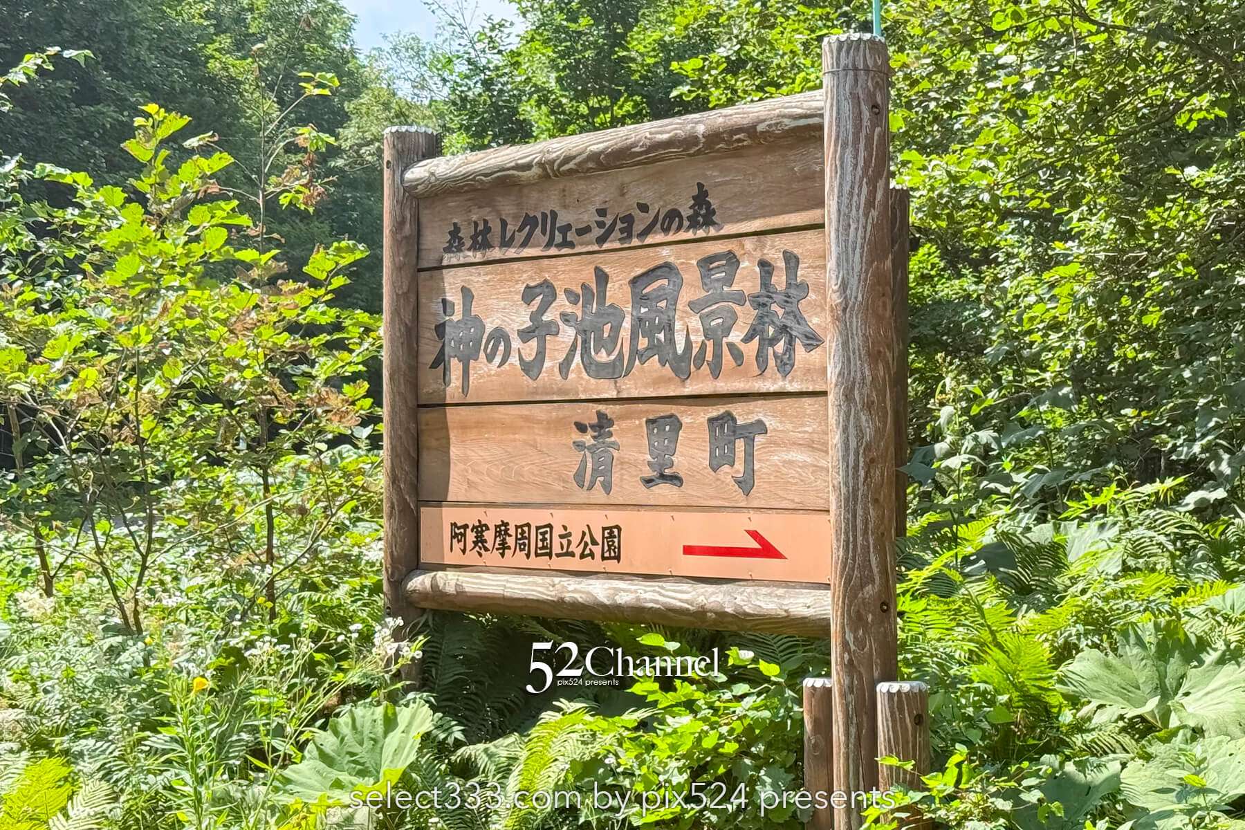 神の子池:絶景の秘境ブルースポットの見どころと撮影ポイント!北海道の映えるスポット