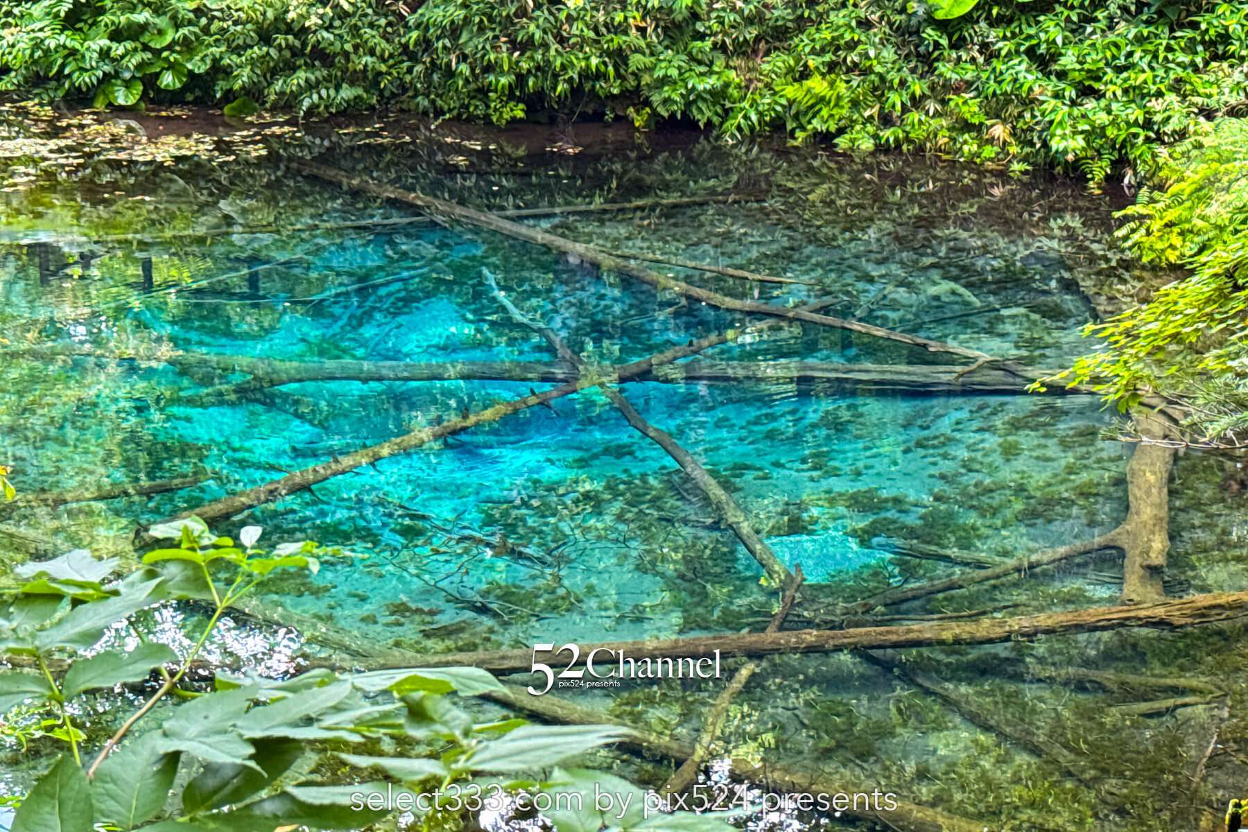神の子池:絶景の秘境ブルースポットの見どころと撮影ポイント!北海道の映えるスポット