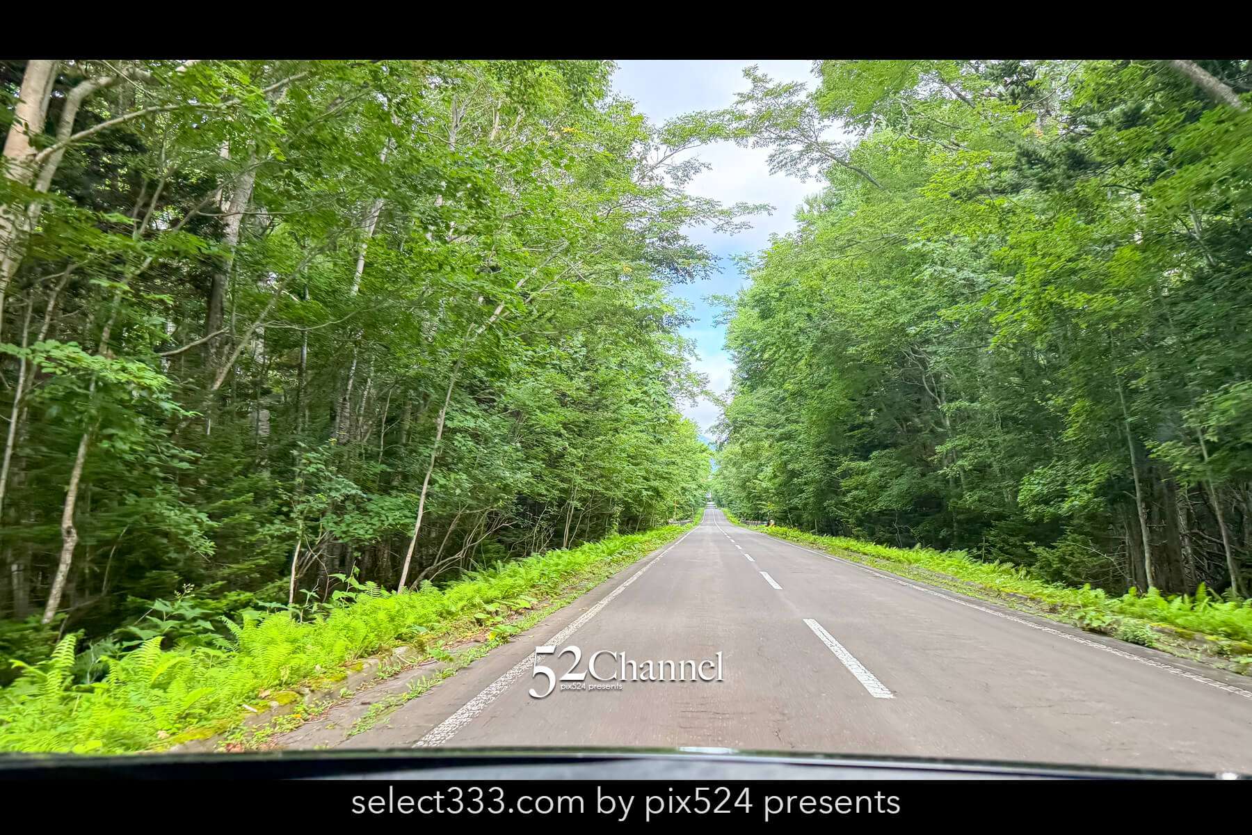 神の子池:絶景の秘境ブルースポットの見どころと撮影ポイント!北海道の映えるスポット