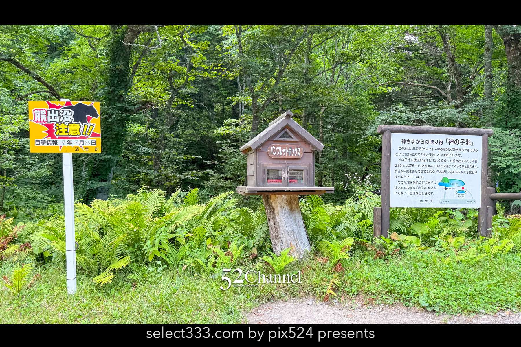 神の子池:絶景の秘境ブルースポットの見どころと撮影ポイント!北海道の映えるスポット