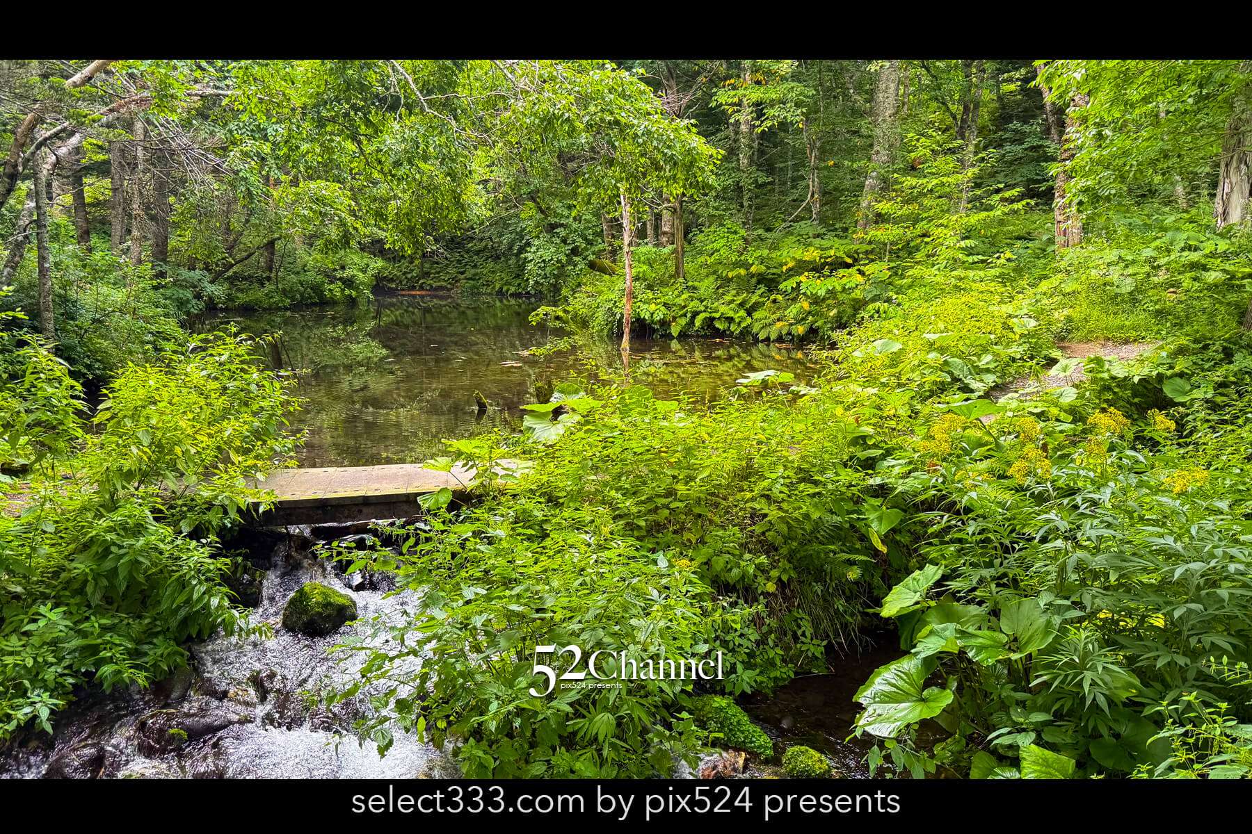 神の子池:絶景の秘境ブルースポットの見どころと撮影ポイント!北海道の映えるスポット