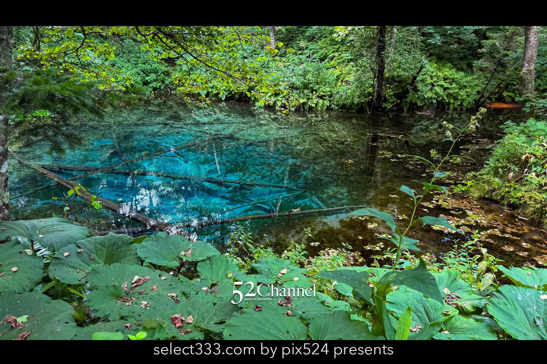 神の子池:絶景の秘境ブルースポットの見どころと撮影ポイント!北海道の映えるスポット