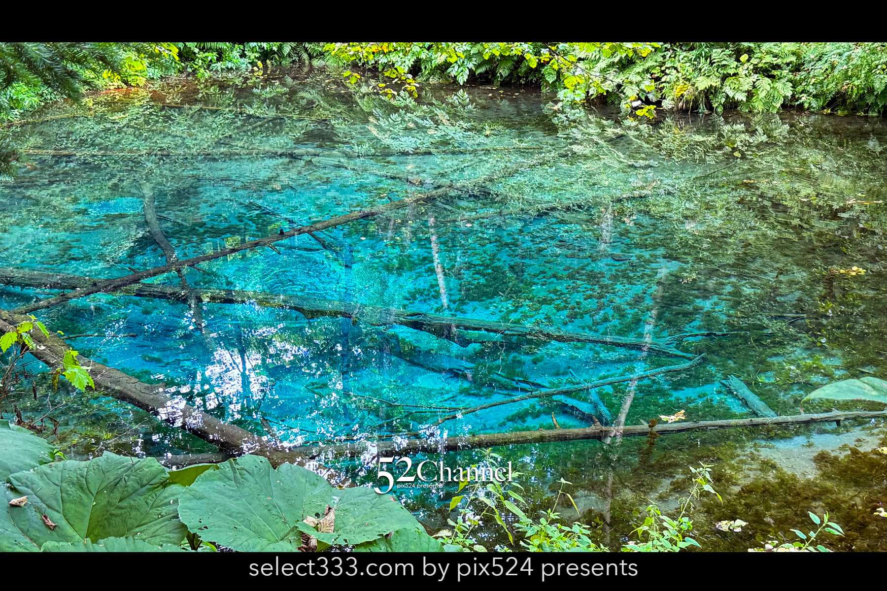 神の子池:絶景の秘境ブルースポットの見どころと撮影ポイント!北海道の映えるスポット