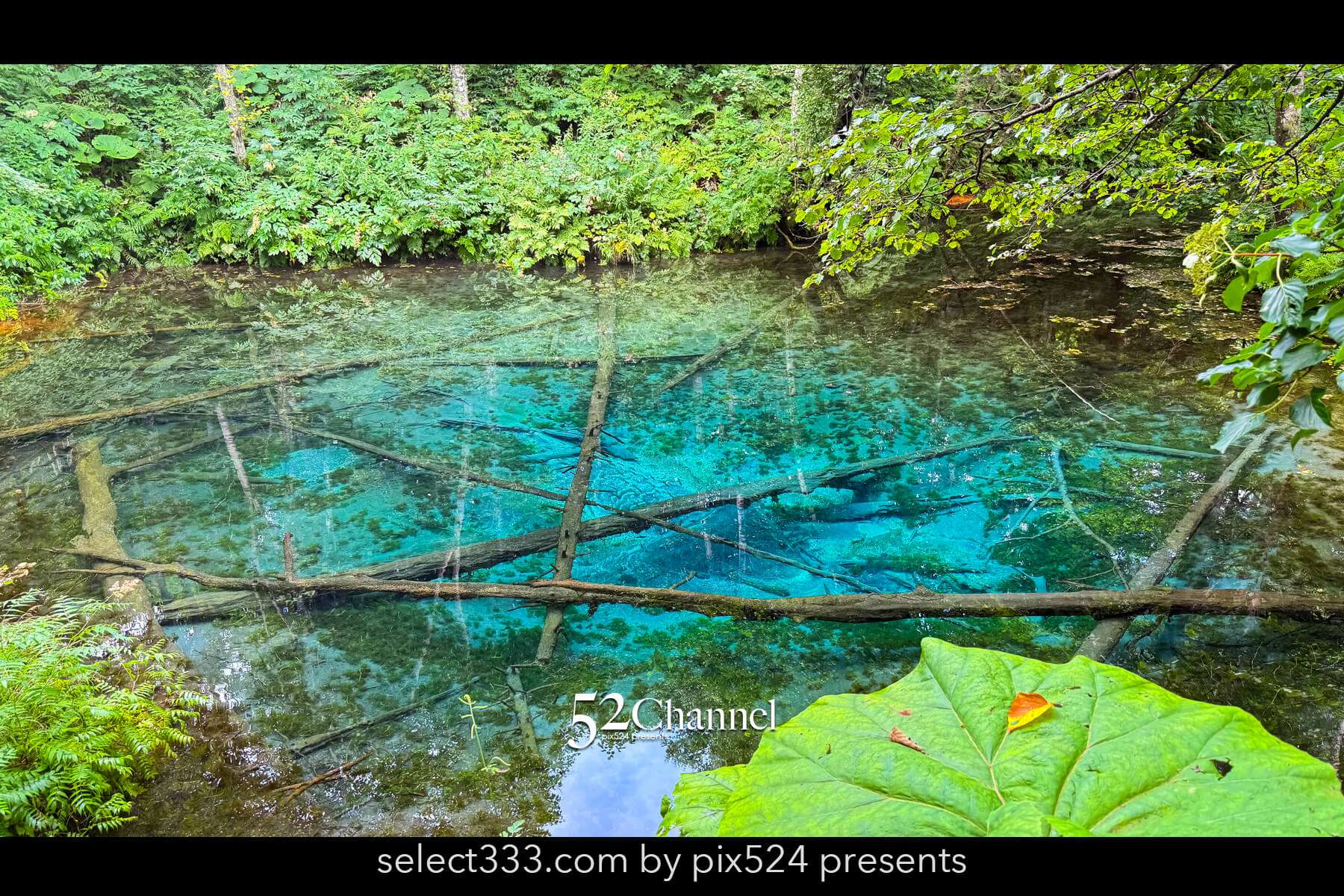 神の子池:絶景の秘境ブルースポットの見どころと撮影ポイント!北海道の映えるスポット