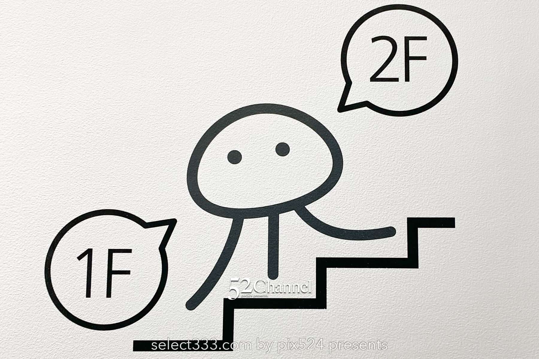 加茂水族館:幻想的なクラゲ展示の魅力!見どころと撮影ポイント!観光と混雑状況ガイド