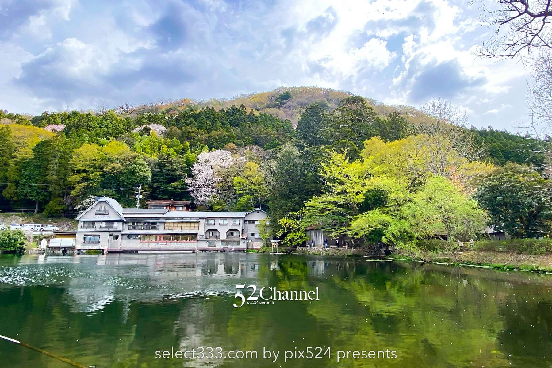 金鱗湖：大分県湯布院の人気観光地見どころ・撮影ポイント！朝霧・紅葉・湖畔散策ガイド